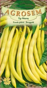 Fasole pitica Berggold 500g - Seminte soi timpuriu, fasole oloaga galbena cilindrica, Agrosem